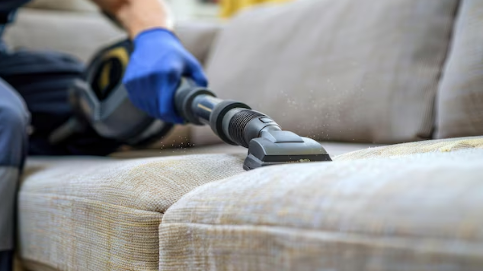 professional furniture cleaning