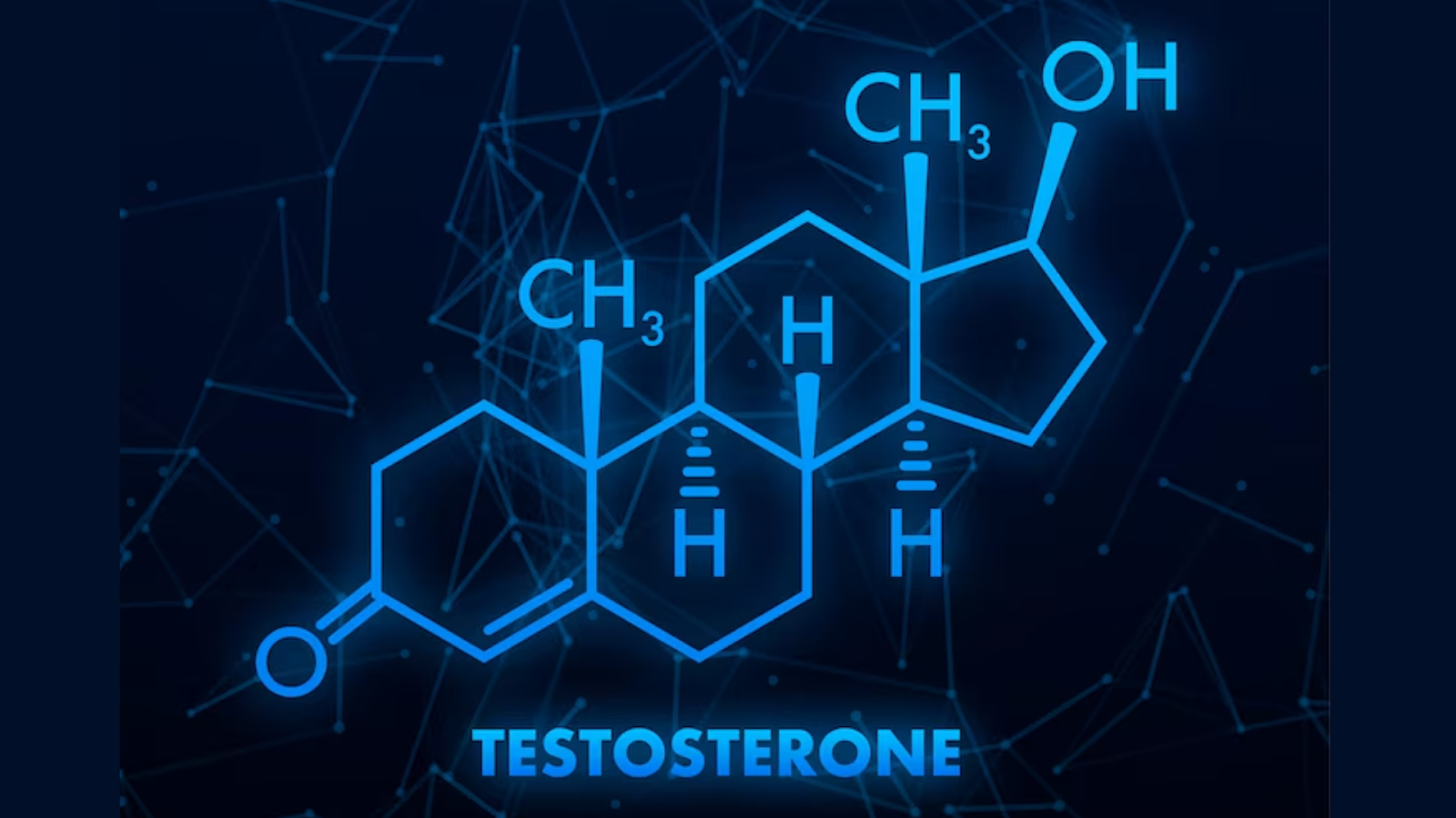 What Is Testosterone and Why Does Your Body Need It So Badly?