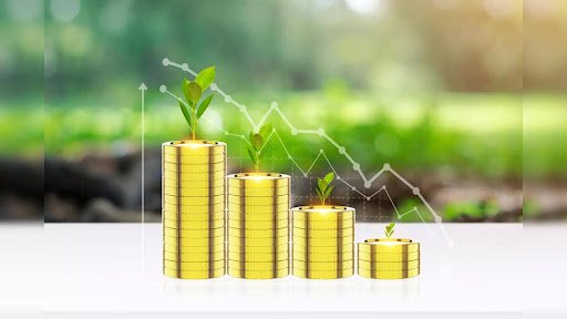 Mutual Fund