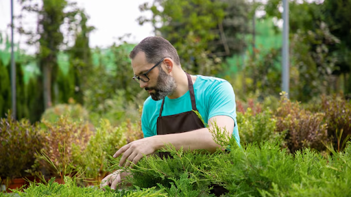 5 Things Top Landscaping Staffing Services In Texas Never Do